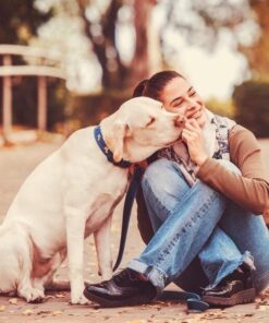 Dog Lovers