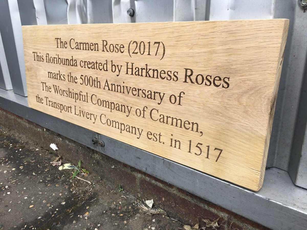 Personalised Oak House sign - carved - custom engraved outdoor wooden name plaque